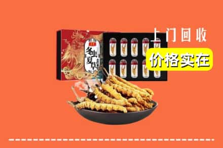 尚志市回收冬虫夏草